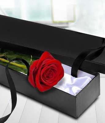 Single Red Rose in gift box