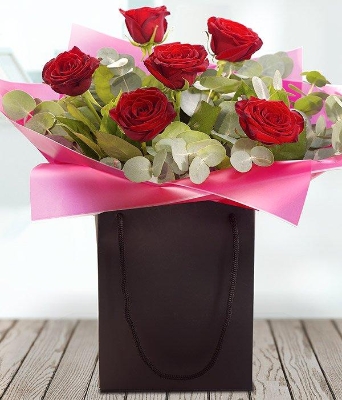 6 Best Freedom Red Roses