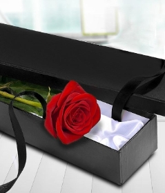 Single Red Rose in gift box