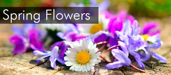 Wedding Florist Wigan